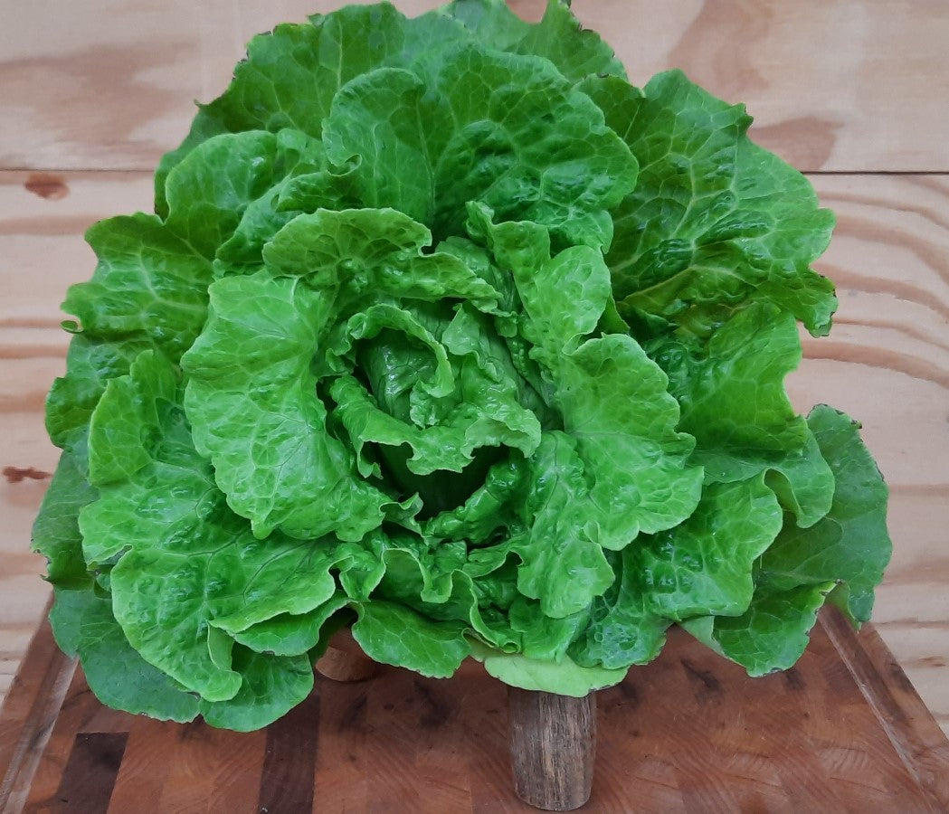 Lettuce - 8 oz bags