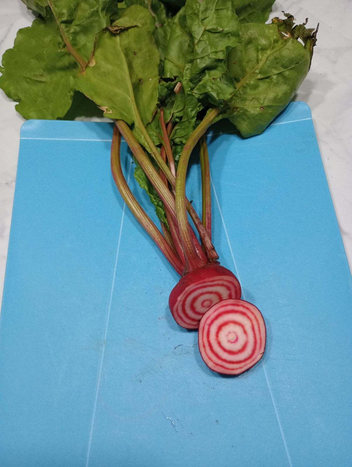 Beets - Chioggia