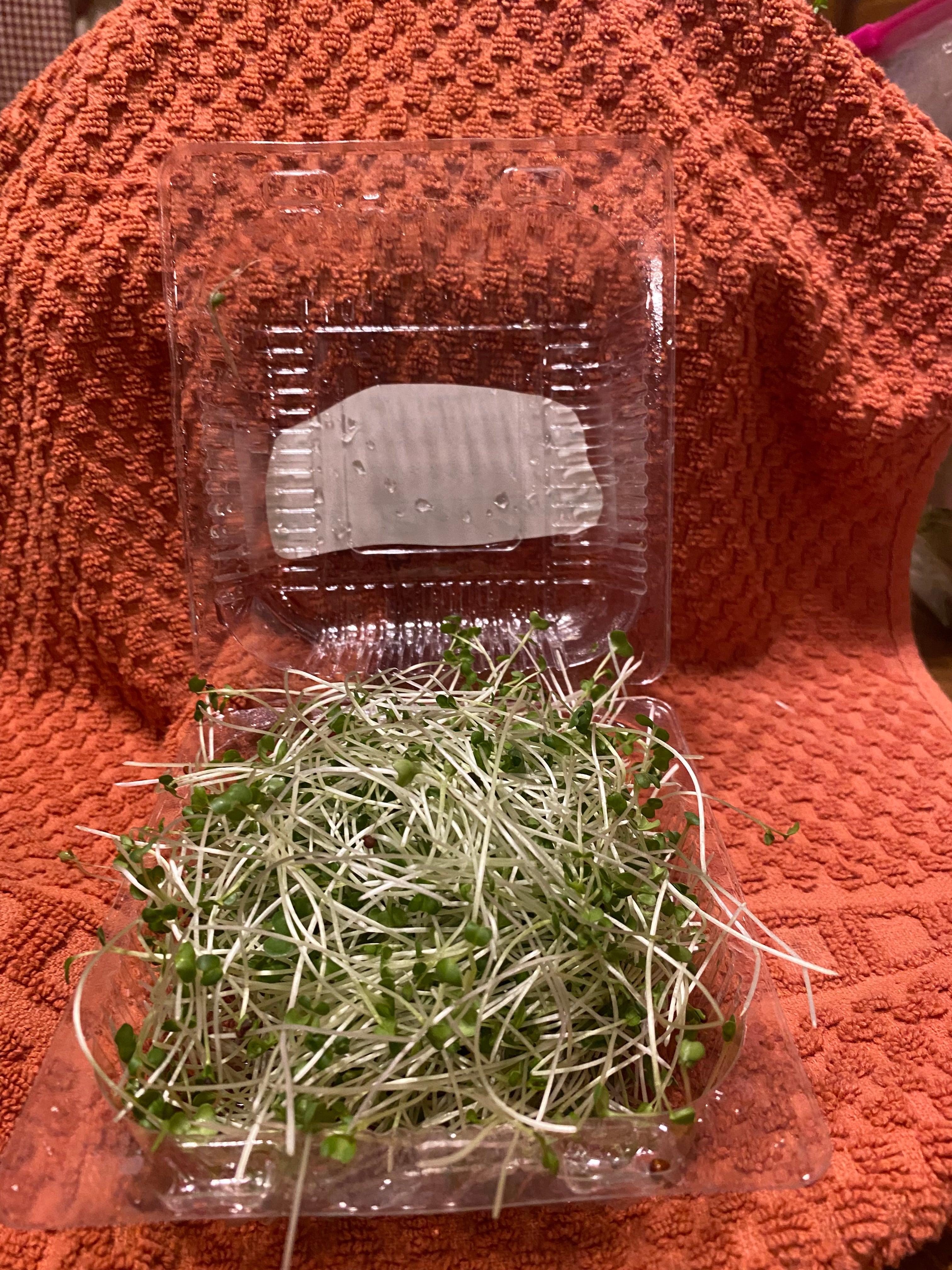 Microgreens