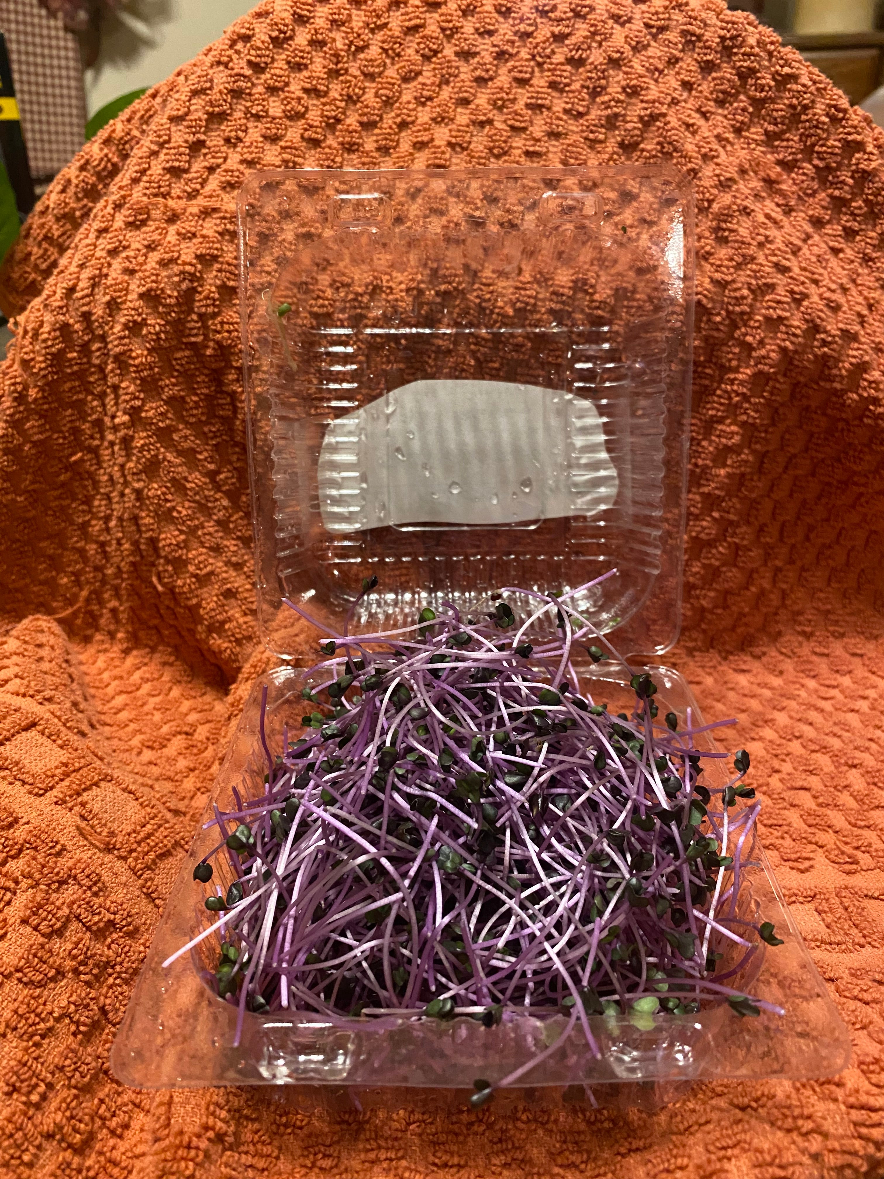 Microgreens