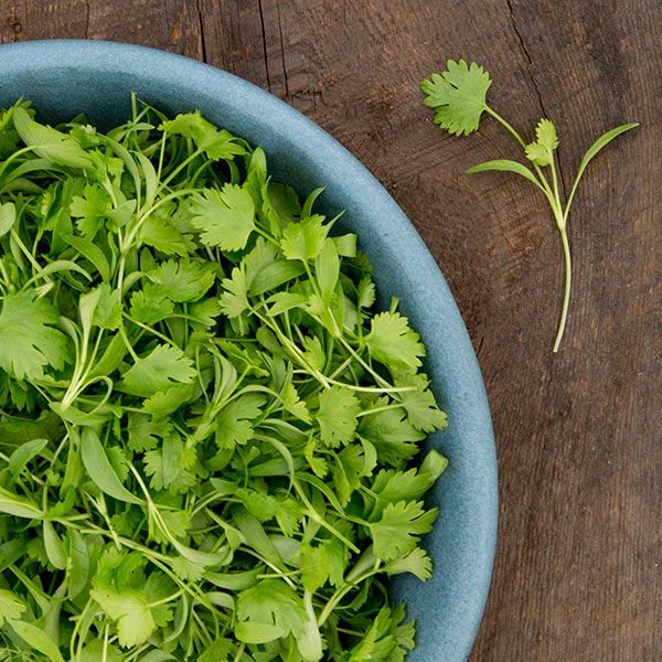 Microgreens