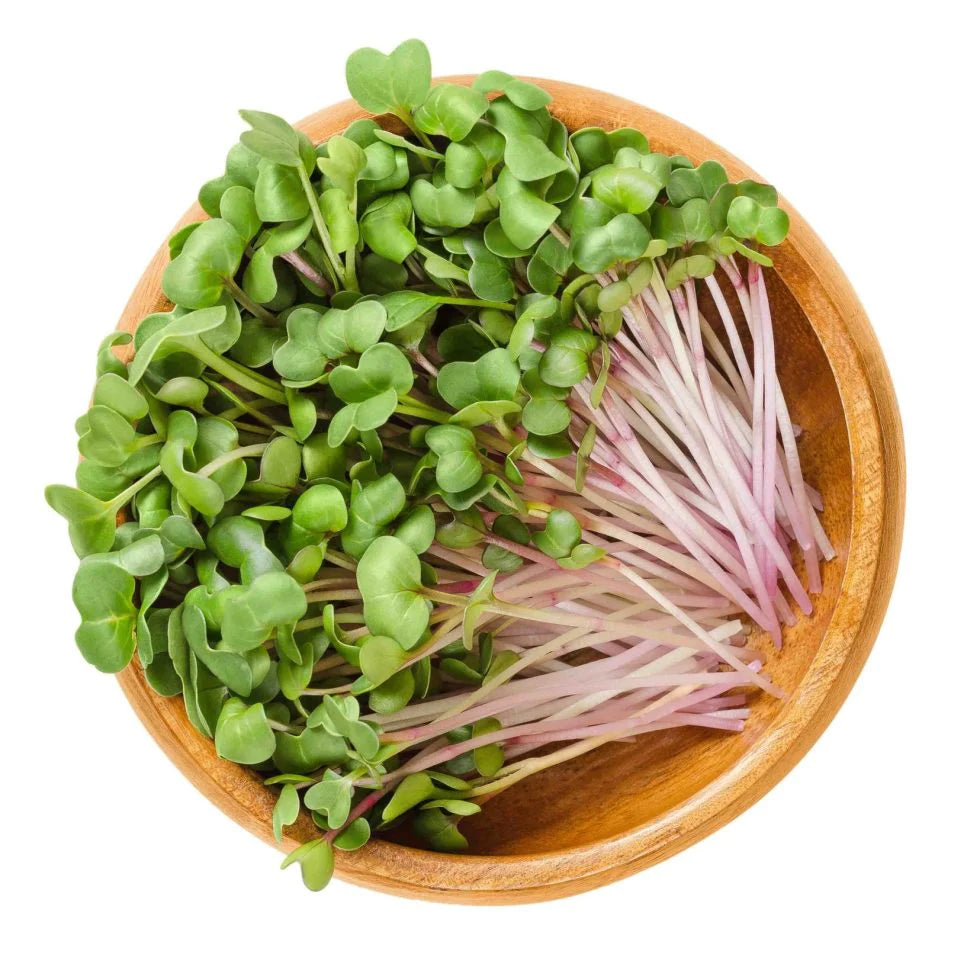 Microgreens