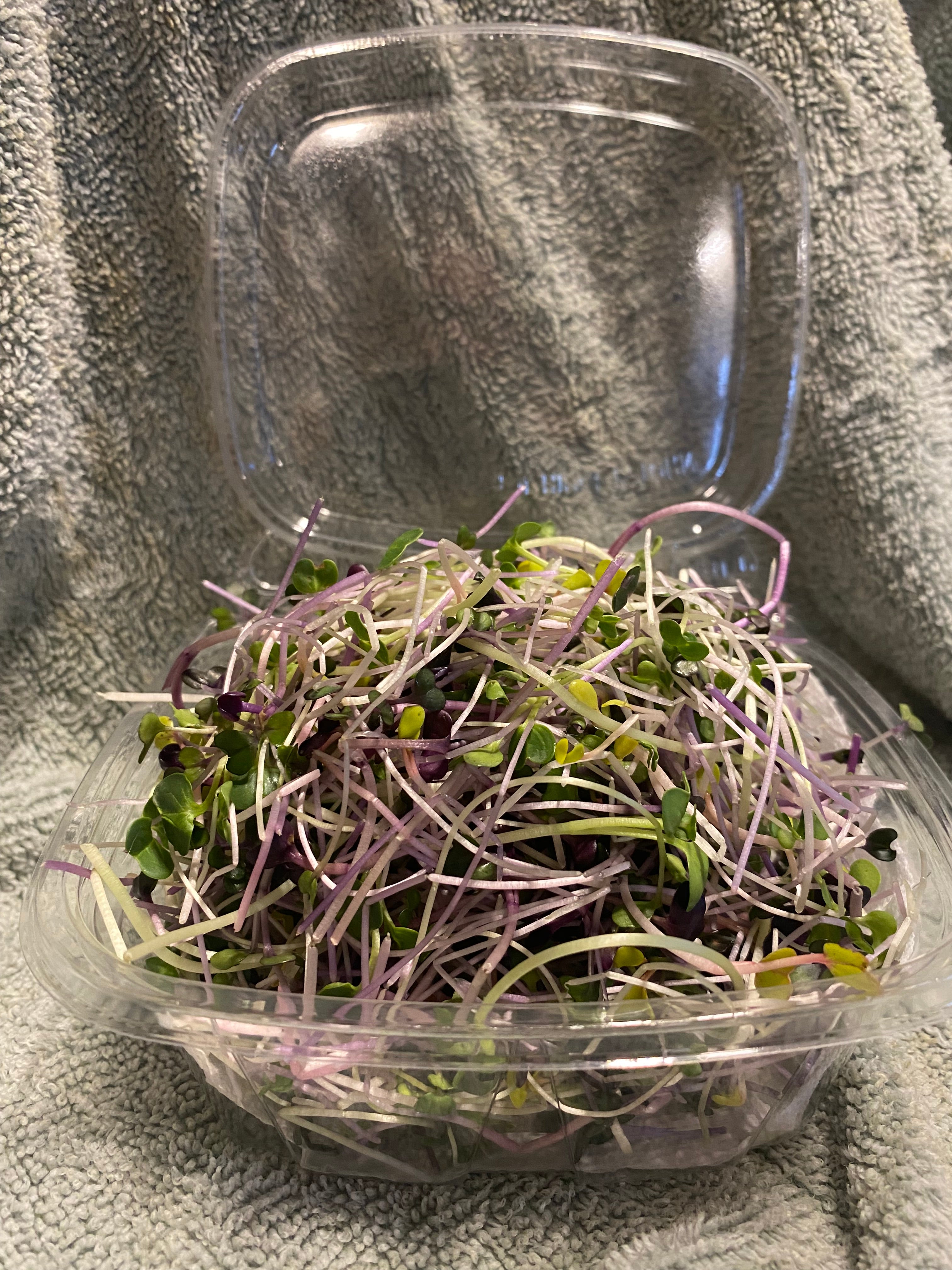 Microgreens