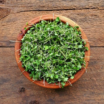 Microgreens