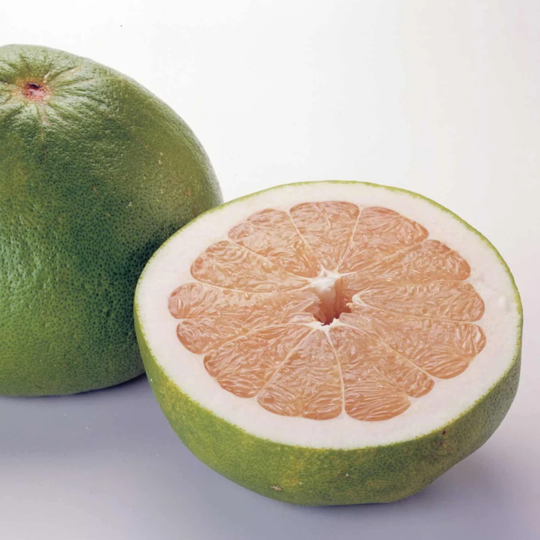 Citrus - Pomelo