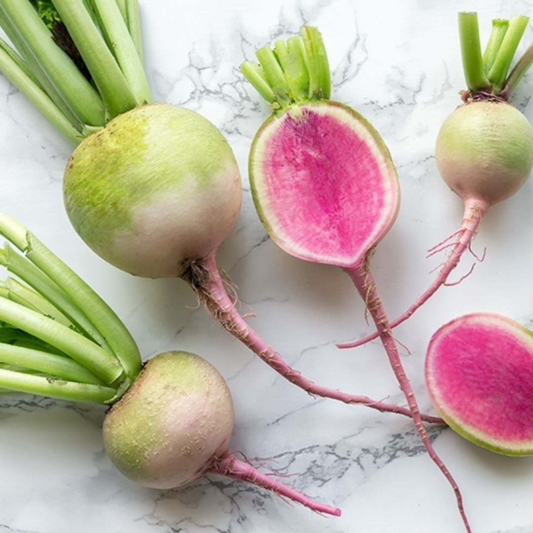 Radish - Watermelon